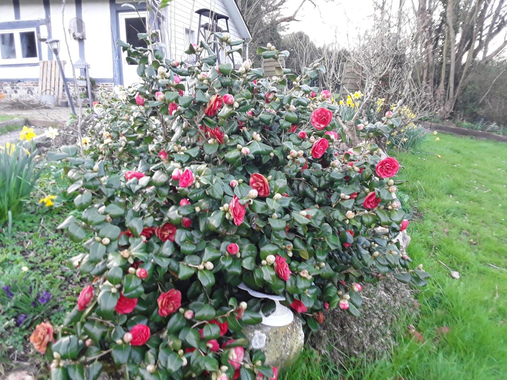 Bed and Breakfast Un Week-End A La Campagne Pont-Audemer Exterior foto
